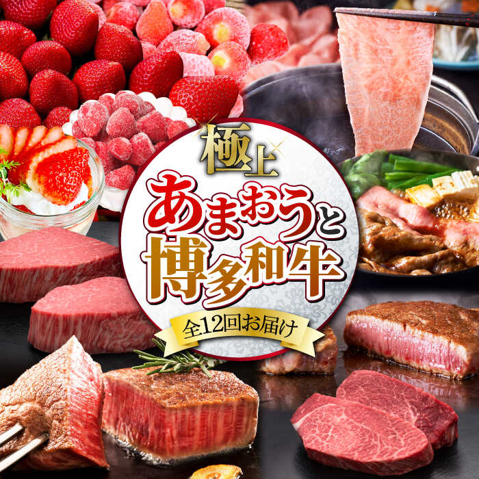 【全12回定期便】博多あまおう・博多和牛ステーキ ボリューム定期便 【築上町】 1000000 1000000円