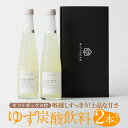 28位! 口コミ数「0件」評価「0」【爽やかな香り広がる！】【 のし / ギフト対応可 】Yuzu Awa ゆず果汁入り炭酸飲料 2本セットGift Box 佐賀県/川原食品株･･･ 