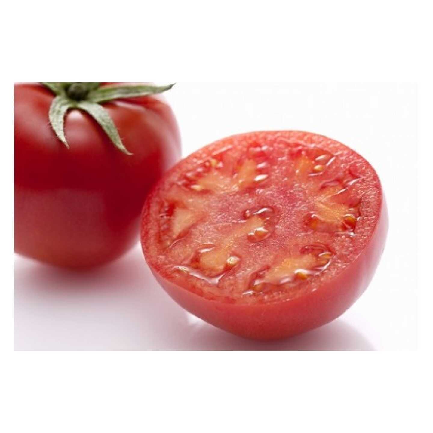 【期間限定】光樹とまと（特秀）4kg / トマト 野菜 / 佐賀県 / さが風土館季楽[41AABE109]