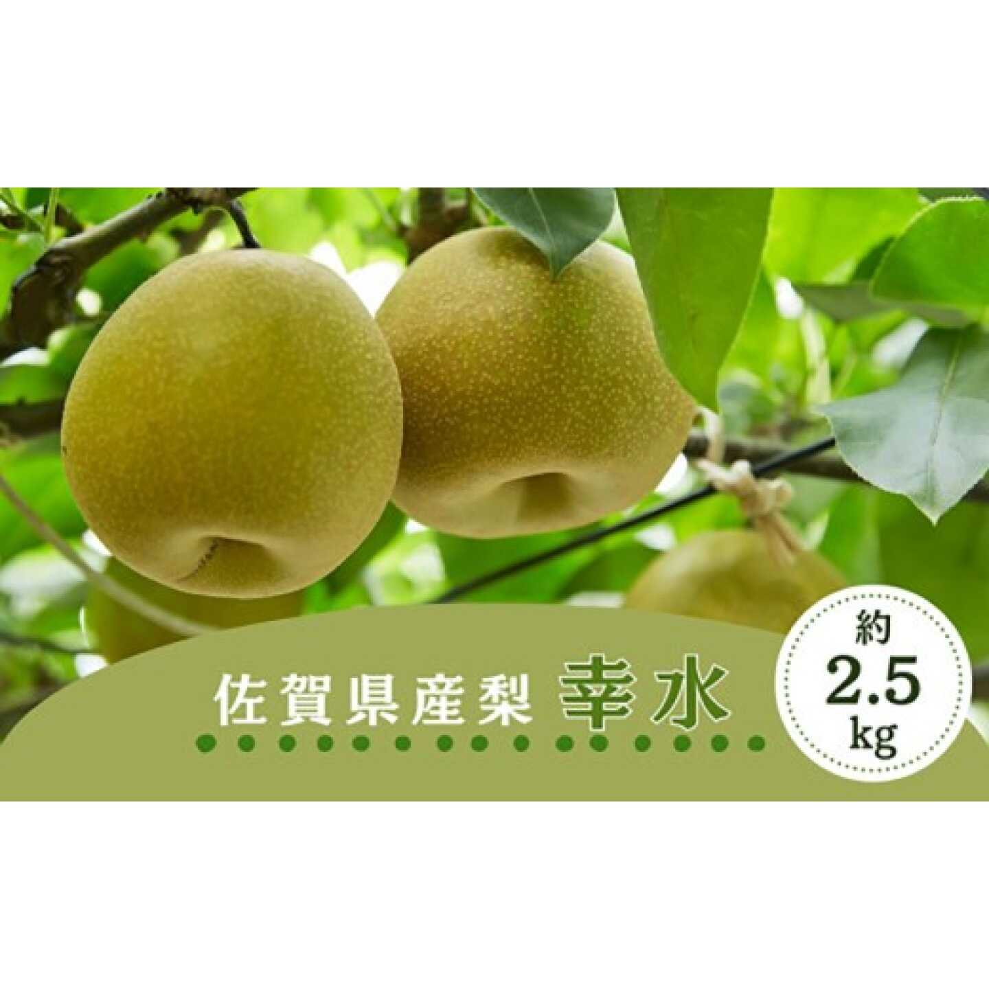 【先行予約】佐賀県産 梨（幸水）2.5kg / 梨 なし 果物 / 佐賀県 / さが風土館季楽[41AABE112]