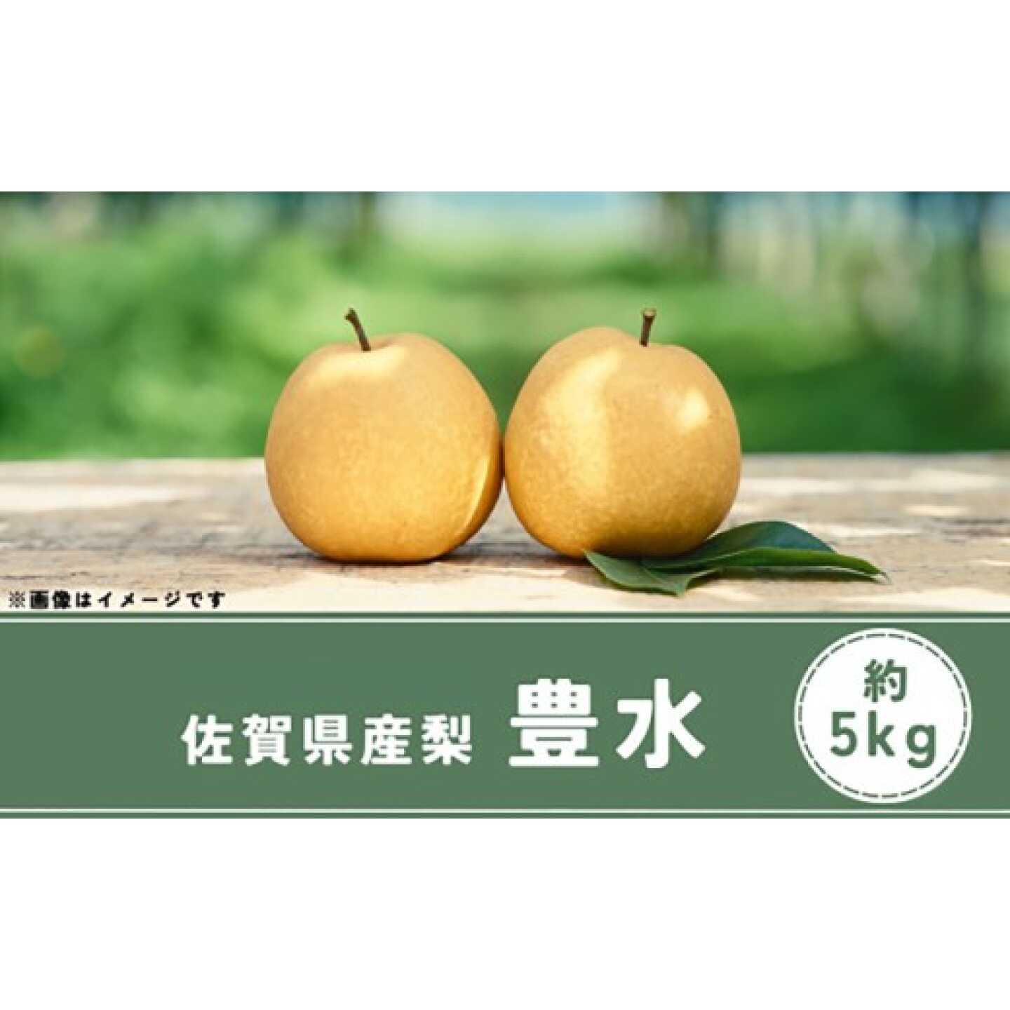 佐賀県産 梨（豊水）5.0kg / 梨 なし 果物 / 佐賀県 / さが風土館季楽[41AABE115]