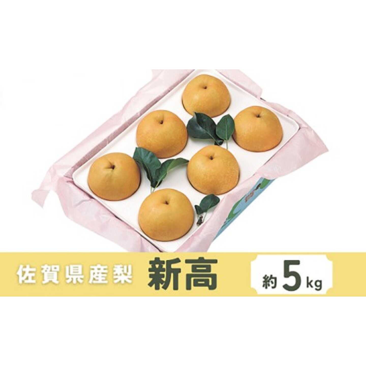 佐賀県産 梨（新高）5.0kg / 梨 なし 果物 / 佐賀県 / さが風土館季楽[41AABE116]