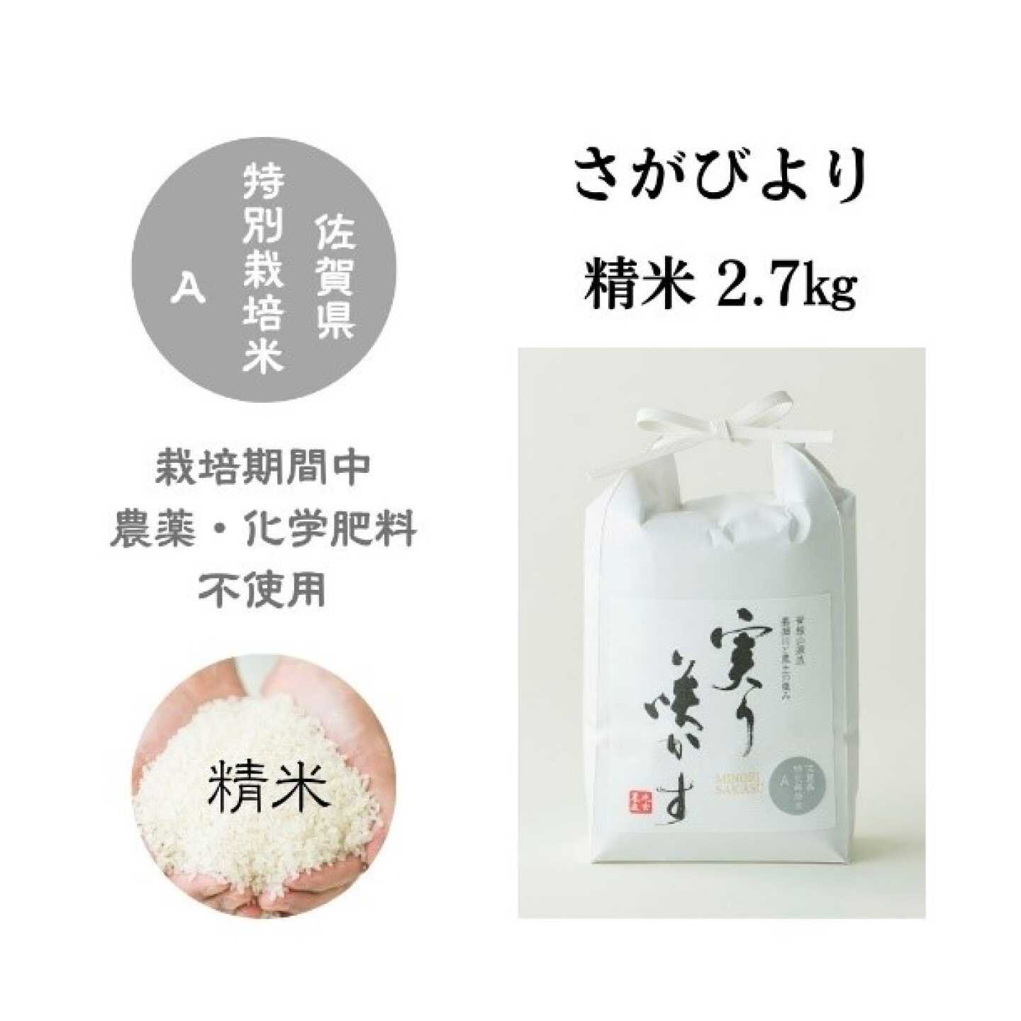 【栽培期間中農薬・化学肥料不使用】さがびより 白米 2.7kg / 米 白米 特A / 佐賀県 / 光吉農産[41AACV019]