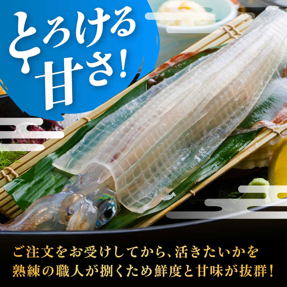 【ふるさと納税】いか活造り定食お食事券（2名様分） / いか活造り 呼子イカ ペアお食事券 / 佐賀県 / 河太郎呼子店 [41ABAE001]