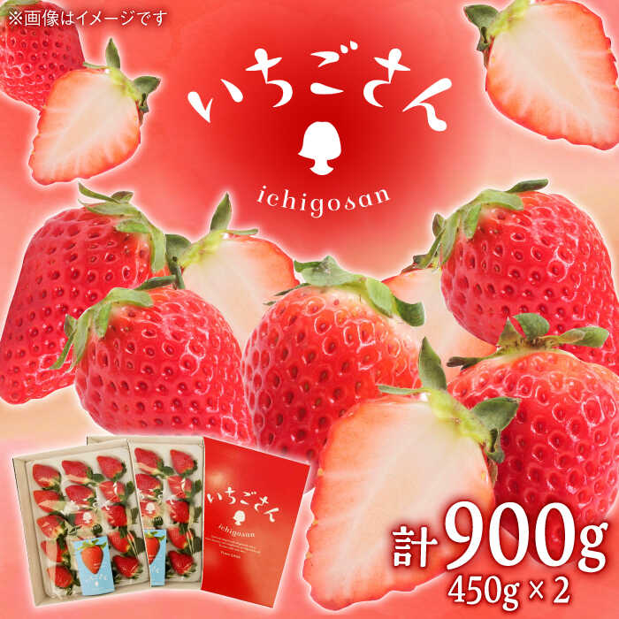 【ふるさと納税】【2026年発送分 先行予約】いちごさん（450g×2パック）/ いちご イチゴ 苺 果物 フル..
