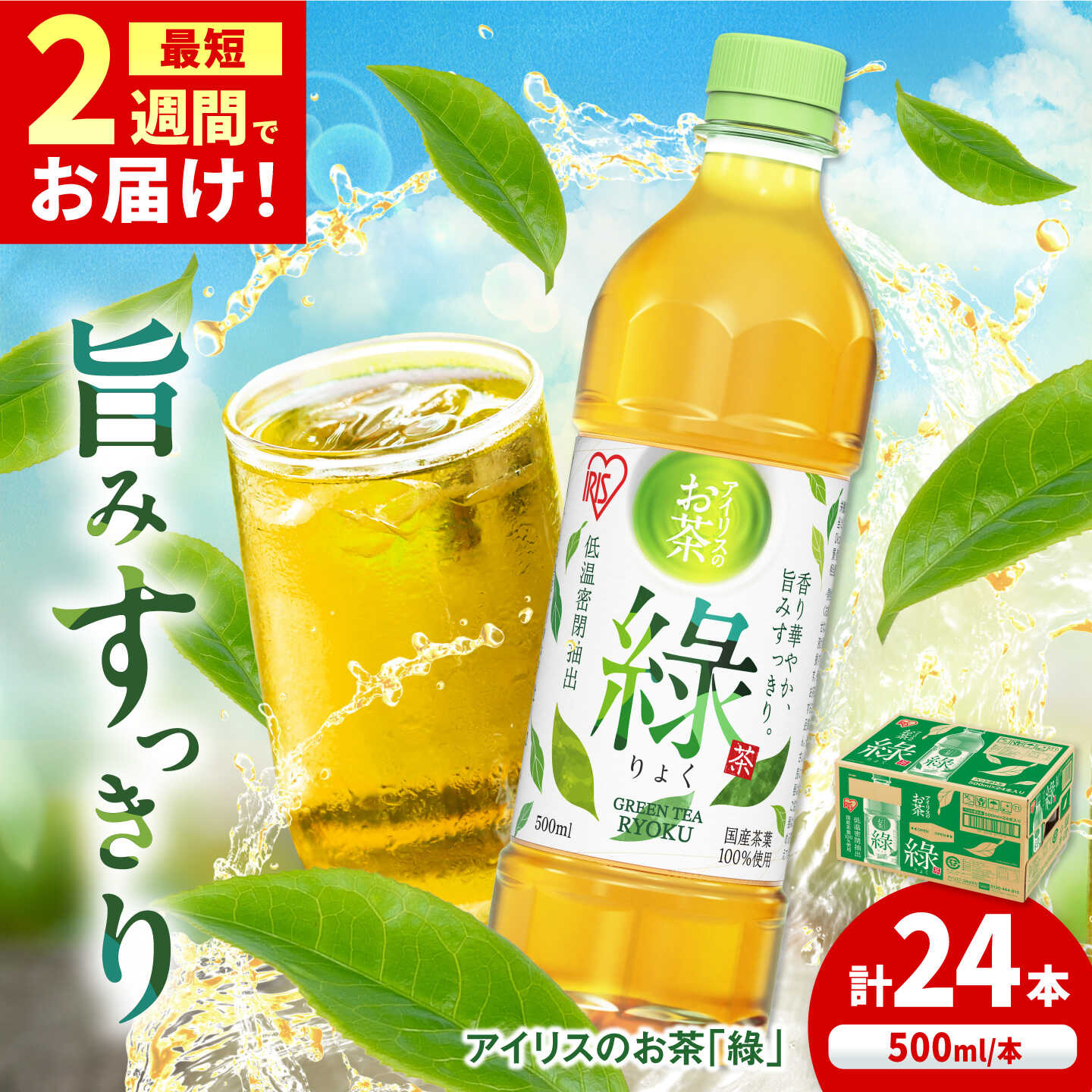 アイリスのお茶「緑」500ml×24本 / 茶 緑茶 ペットボトル / 佐賀県 / アイリスオーヤマ株式会社[41ACAA121]
