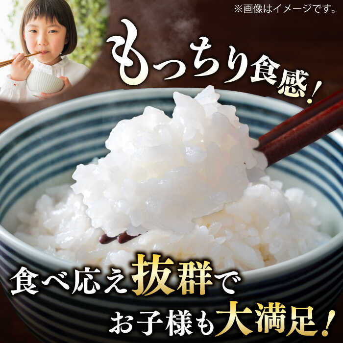 【ふるさと納税】《レビューキャンペーン実施中》【佐賀県産米】【全3回定期便】 令和5年産 夢しずく 白米 計15kg（5kg×1袋×3回） / お米 精米 ブランド米 ふるさと納税米 / 佐賀県 / 株式会社森光商店[41ACBW025]