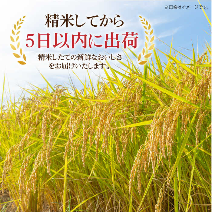 【ふるさと納税】【楽天限定】令和7年産 スーパープレミアム金のこしひかり 白米 計8kg（2kg×4袋） / お米 精米 ブランド米 ふるさと納税米 / 佐賀県 / 株式会社森光商店 [41ACBW038]【楽天限定】
