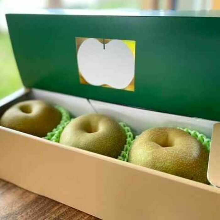 【ふるさと納税】【2026年発送分 先行予約】【化粧箱入り】幸太郎（幸水）3個入（約1.2kg）/ 梨 伊万里..