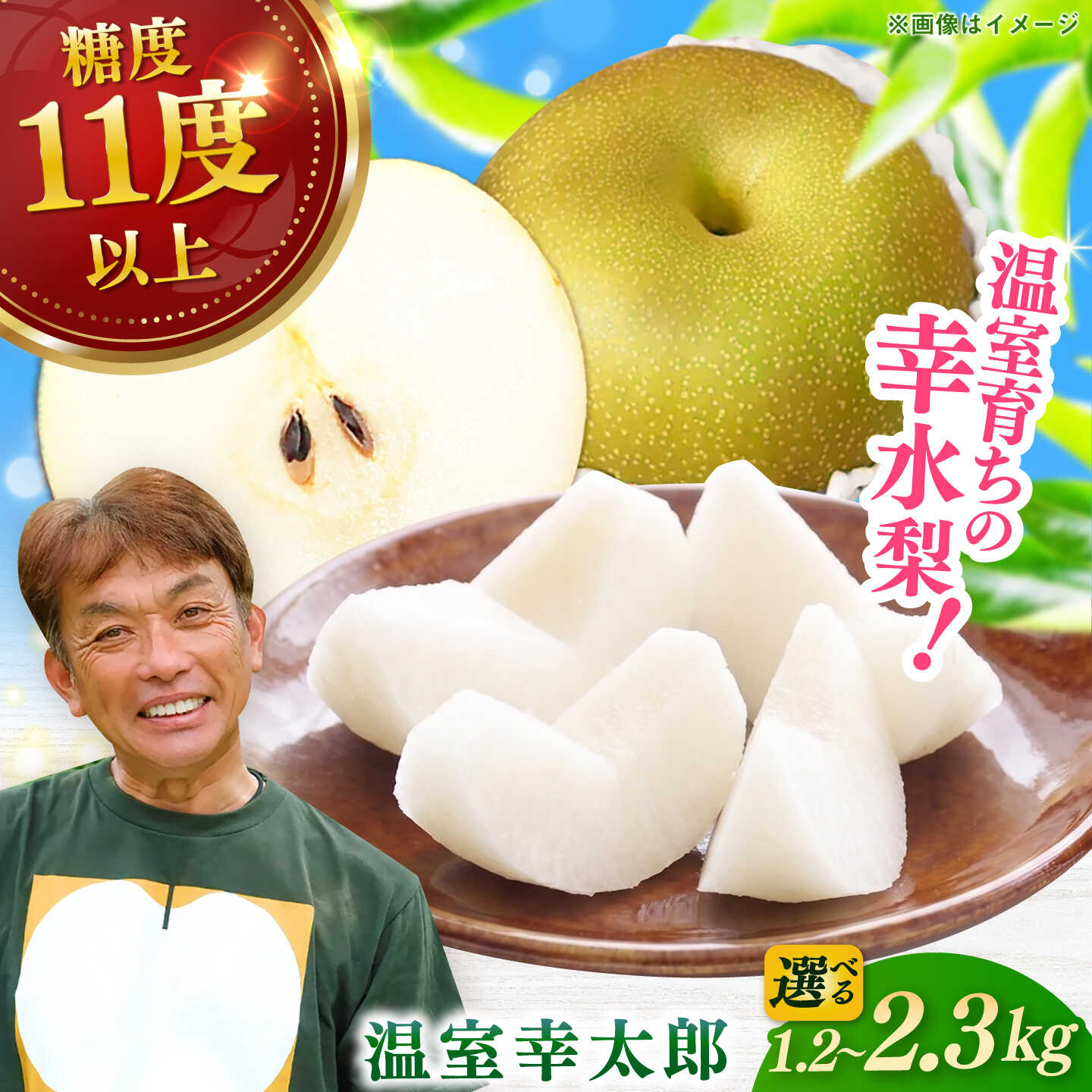 【選べる内容量】【化粧箱入り】温室幸太郎（幸水） 3-6個入 （約1.2kg-約2.3kg）/ 梨 伊万里梨 なし / 佐賀県 / 大川三世代 [41AEAB012]