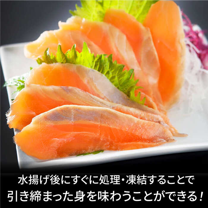 【ふるさと納税】玄海サーモン3種詰合せ（切り身、醤油漬け、クリーム煮） / サーモン 刺し身 漬け丼 クリーム煮 / 佐賀県 [41AECT005]