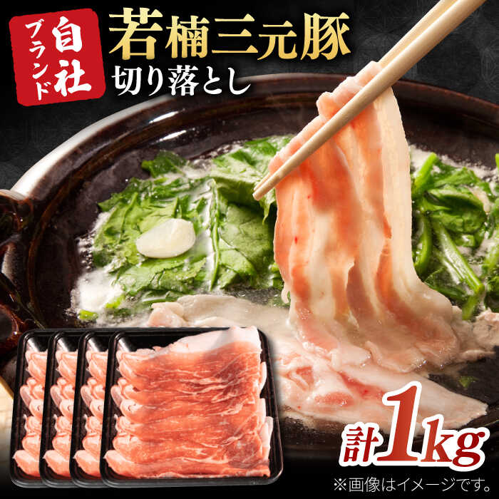 [きめが細かくやわらかーい!] 佐賀県産 若楠三元豚 切り落とし 計1kg(250g×4パック) / 国産豚 食べ比べ 三元豚 簡単調理 / 佐賀県 / 株式会社ナチュラルフーズ 