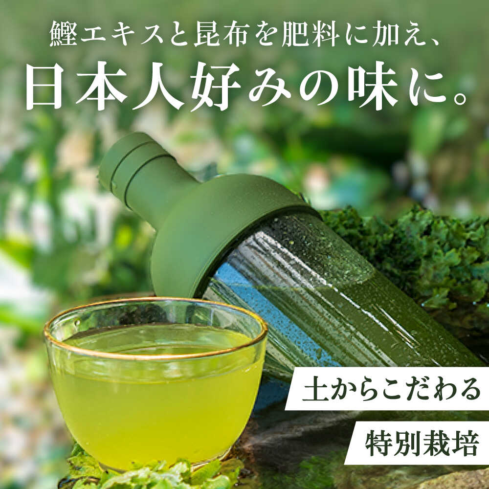 【ふるさと納税】【ロマ佐賀】特選5種セット「雫」 計5袋 / お茶 日本茶 嬉野茶 緑茶 / 佐賀県 / 白川製茶園 [41AIAB001]