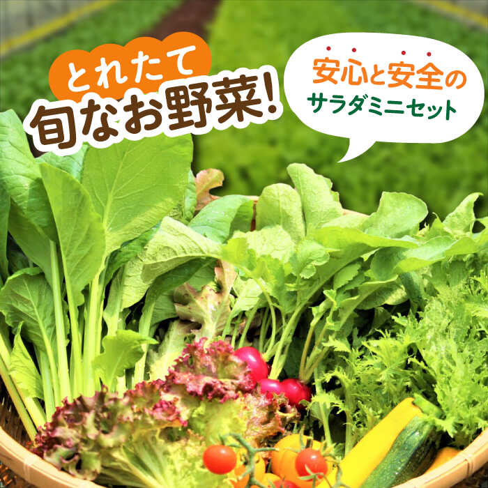 テーブルランド 信濃高原なめ茸60% 120g×30個