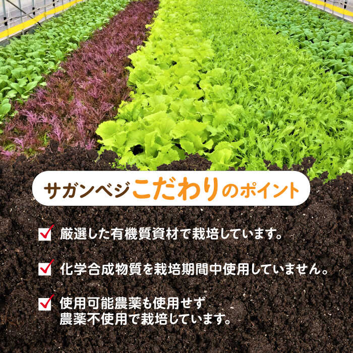 Amy's オーガニック低ナトリウムリフライドブラックビーンズ、15.4オンス Amy's Organic Low Sodium Refried Black Beans, 15.4 OZ