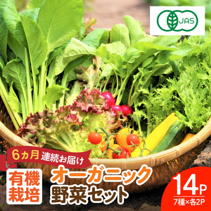 【ふるさと納税】【レビューキャンペーン実施中】【植物性で育てた葉野菜ブランド】【全6回定期便】 オ..