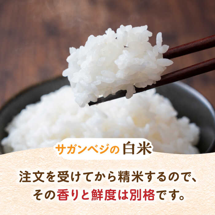 【ふるさと納税】【家計お助け返礼品】【植物性で育てたサガンベジブランド】【全6回定期便】 ビーガン米 白米 計60kg（10kg×6回） 佐賀県/株式会社サガンベジ[41ANCH008]