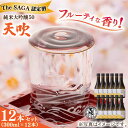 【ふるさと納税】【THE SAGA 認定酒 】天吹 純米大吟醸50 300ml 12本セット お酒 日本酒 お祝い / 佐賀県/天吹酒造合資会社[41ANCX003]