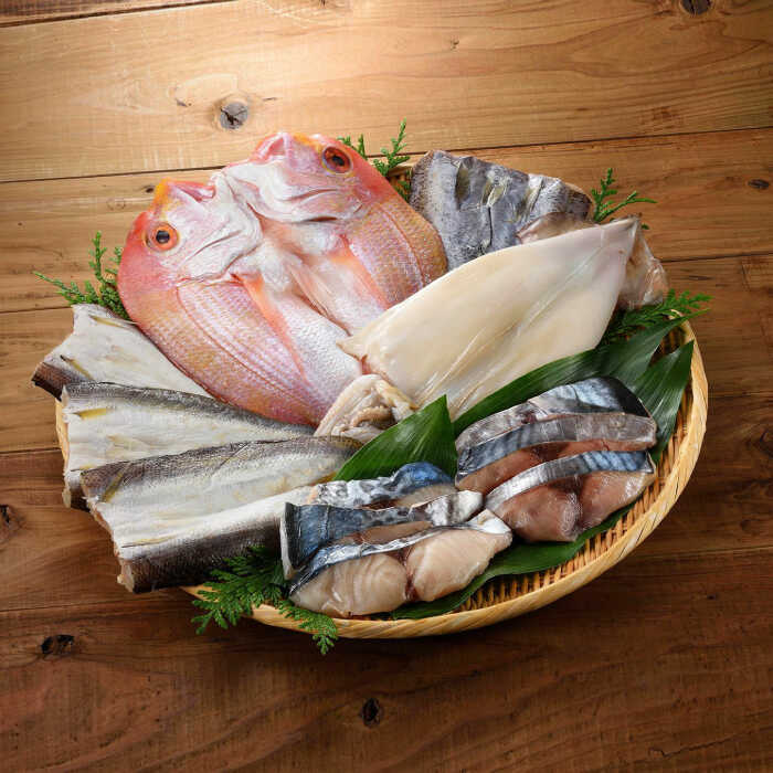 玄界灘の贅沢干物 全6種食べ比べセット(イカ・アジ・カマス・サバ・連子鯛 等) / 干物 イカ アジ カマス サバ 連子鯛 / 佐賀県 / 丸福水産 