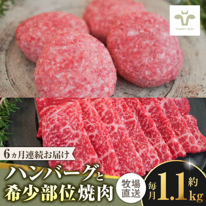 【牧場直送】【全6回定期便】佐賀牛100％ハンバーグ4個と希少部位焼肉600g 佐賀県/有限会社佐賀セントラル牧場[41ASAA204]