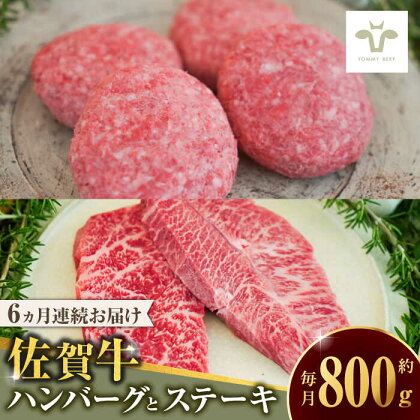 【全6回定期便】佐賀牛100％ハンバーグ4個と赤身ステーキ300g / 牧場直送 精肉 ブランド牛 和牛 黒毛和牛 小分け / 佐賀県 / 有限会社佐賀セントラル牧場[41ASAA207]