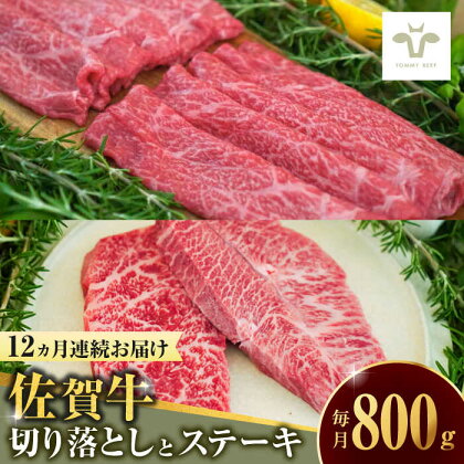 【全12回定期便】佐賀牛 至福の切り落としと赤身ステーキ食べ比べ 計9.6kg / 牧場直送 ブランド牛 和牛 黒毛和牛 小分け / 佐賀県 / 有限会社佐賀セントラル牧場[41ASAA226]