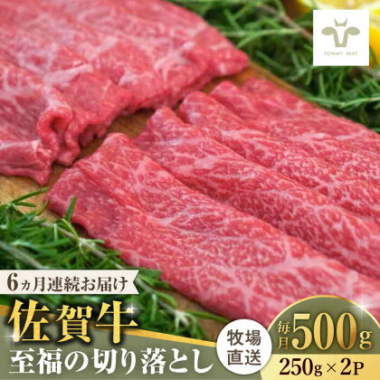 【牧場直送】【全6回定期便】佐賀牛至福の切り落とし 計3kg（250g×2袋×6回） 佐賀県/有限会社佐賀セントラル牧場[41ASAA019]