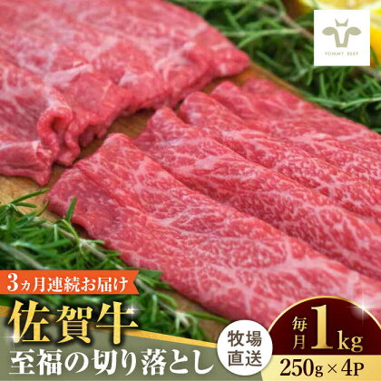 【牧場直送】【全3回定期便】佐賀牛至福の切り落とし 計3kg（250g×4袋×3回） 佐賀県/有限会社佐賀セントラル牧場[41ASAA022]