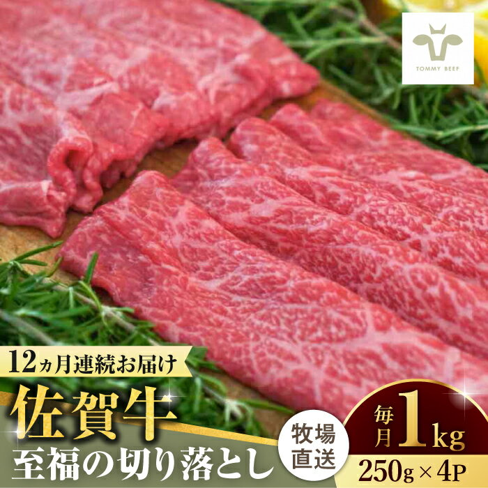 【牧場直送】【全12回定期便】佐賀牛至福の切り落とし 計12kg（250g×4袋×12回） 佐賀県/有限会社佐賀セントラル牧場[41ASAA024]