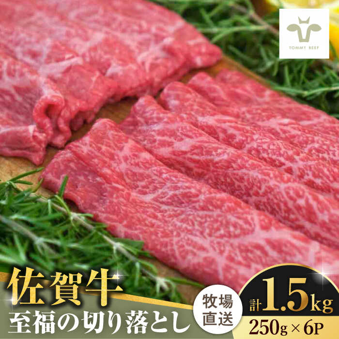 【レビューキャンペーン実施中】【牧場直送】佐賀牛至福の切り落とし 計1.5kg（250g×6袋） 佐賀県/有限会社佐賀セントラル牧場[41ASAA025]