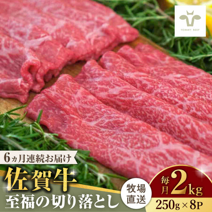 【牧場直送】【全6回定期便】佐賀牛至福の切り落とし 計12kg（250g×8袋×6回） 佐賀県/有限会社佐賀セントラル牧場[41ASAA031]