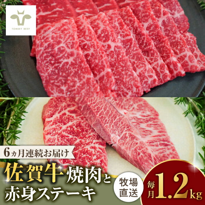 【レビューキャンペーン実施中】【牧場直送】【全6回定期便】焼肉とステーキセット！佐賀牛希少部位焼肉600gと赤身ステーキ600g 計7.2kg（600g×2種×6回）） 佐賀県/有限会社佐賀セントラル牧場[41ASAA047]