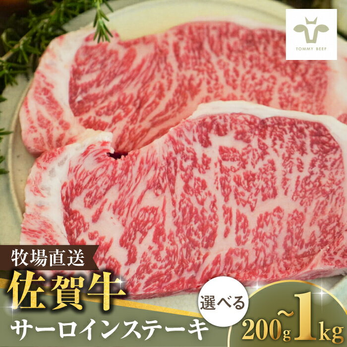 [選べる内容量!]佐賀牛 サーロインステーキ 200g-1kg / ステーキ ブランド牛 和牛 黒毛和牛 / 佐賀県/有限会社佐賀セントラル牧場[41ASAA065]