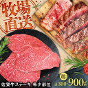 【ふるさと納税】【家計お助け返礼品】【選べる内容量】佐賀牛希少部位ステーキ 300-900g / 佐賀牛 国産和牛 ブランド牛 牛肉 ステーキ 赤身 焼肉 小分...