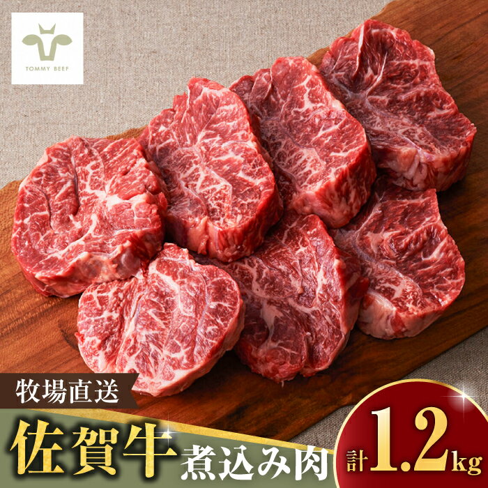 【レビューキャンペーン実施中】＜牧場直送＞佐賀牛煮込み肉1.2kg / 個包装 小分け 赤ワイン煮込み ビーフシチュー贈答 記念日 / 佐賀県 / 有限会社佐賀セントラル牧場[41ASAA083]