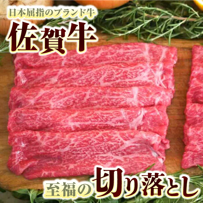サンプル画像3