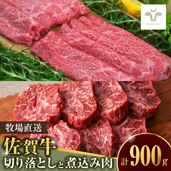 [レビューキャンペーン実施中][牧場直送]至福の切り落とし500gと煮込み肉400g 佐賀県/有限会社佐賀セントラル牧場[41ASAA098]