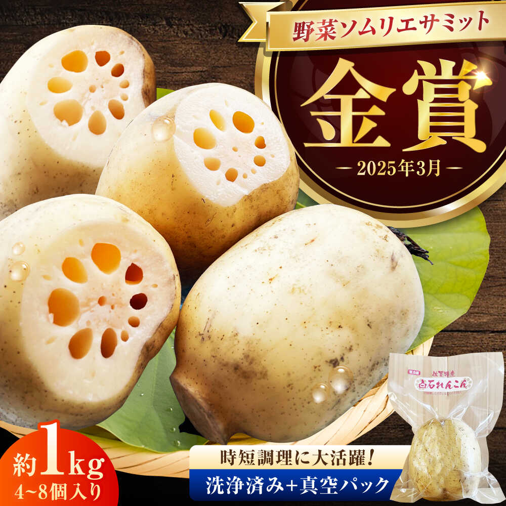 【ふるさと納税】【金賞受賞！】真空パック 松尾青果のこだわり白石れんこん 約1kg(4-8個) / れんこん 蓮根 レンコン 野菜 根菜 / 佐賀県 / 松尾青果[41ASAB001]