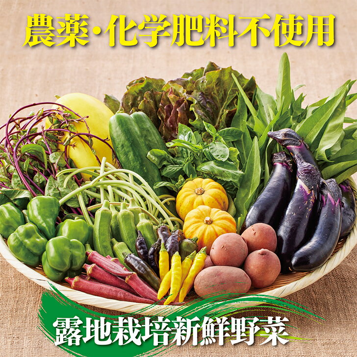 【ふるさと納税】佐賀産季節の旬野菜10種類（農薬・化学肥料不使用）：B120-036