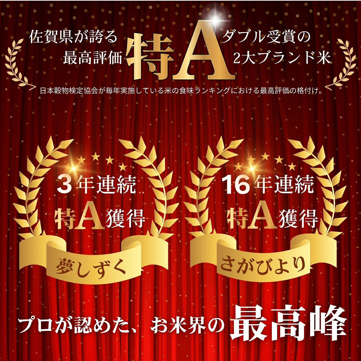 【ふるさと納税】先行予約【新米】令和8年 佐賀県産 「さがびより」「夢しずく」5kg／10kg【16年連続特A評価獲得】 f412015-saga-10002743 佐賀県佐賀市 サンプル画像2