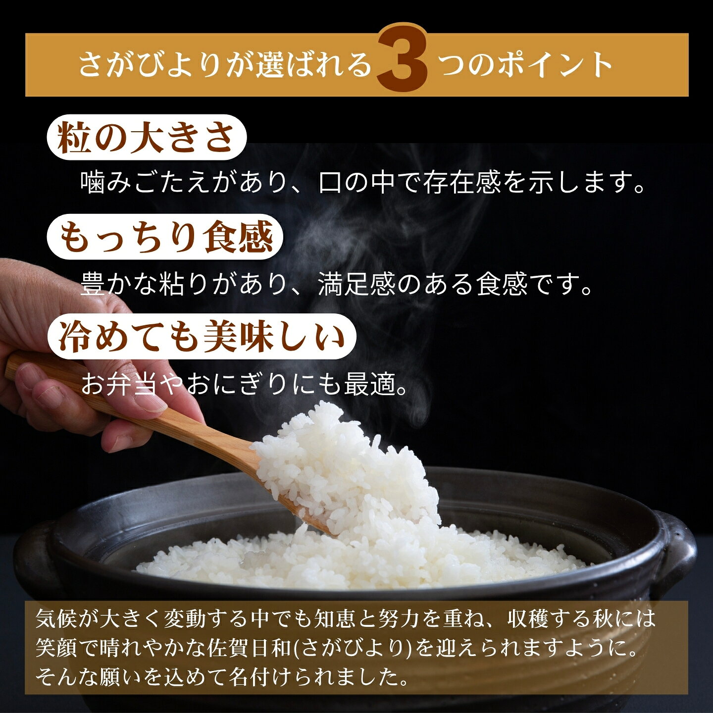 【ふるさと納税】先行予約【新米】令和8年 佐賀県産 「さがびより」「夢しずく」5kg／10kg【16年連続特A評価獲得】 f412015-saga-10002743 佐賀県佐賀市 サンプル画像3