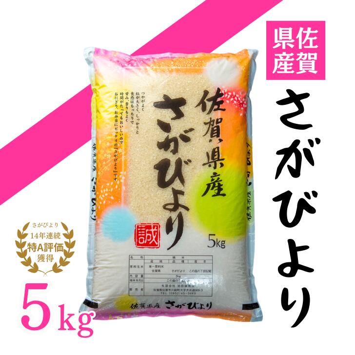[新米]令和7年 佐賀県産「さがびより」5kg:B120-068