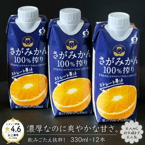 【ふるさと納税】さがみかん100％搾り 330ml×12本：B011-062