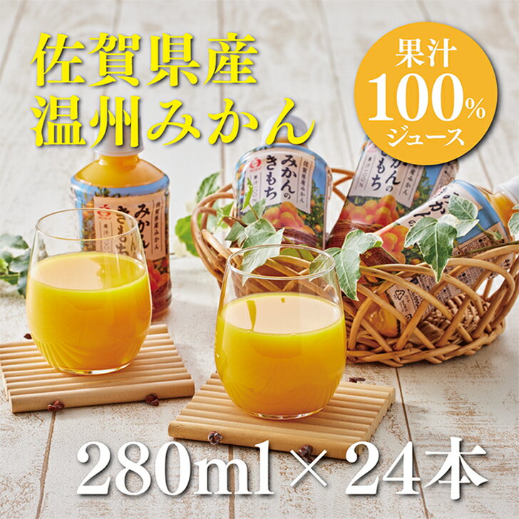 【ふるさと納税】みかんのきもち 280ml×24本入：B013-024