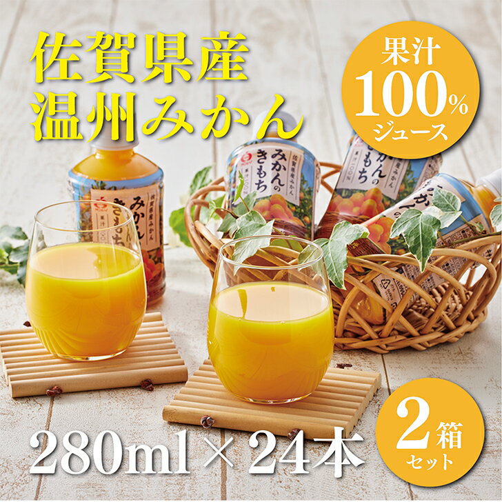 【ふるさと納税】みかんのきもち 280ml×24本入 2箱セ