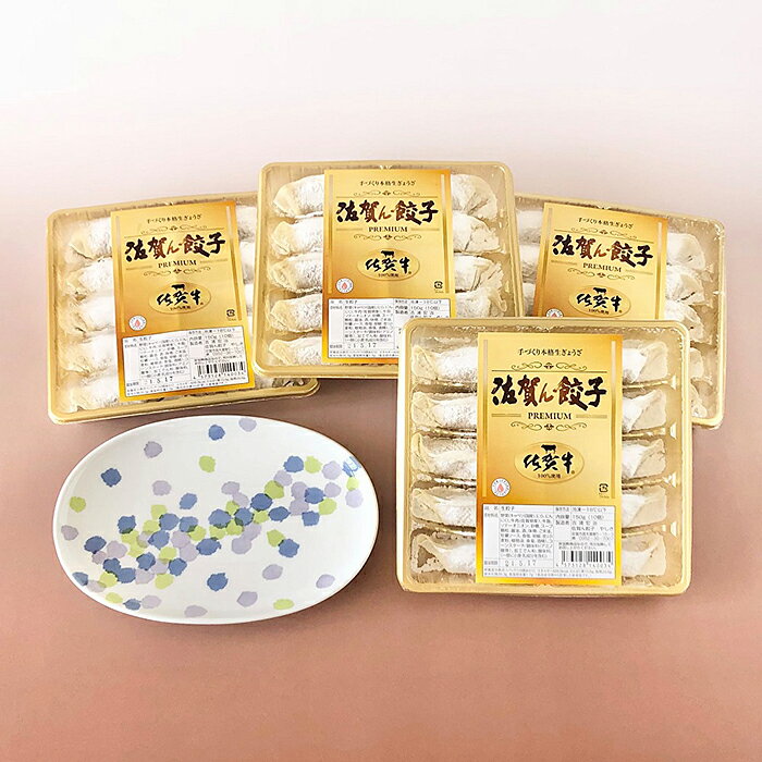 【ふるさと納税】E2−007．プレミアム佐賀牛餃子と有田焼皿（菖蒲）