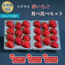 【ふるさと納税】【定期便3回】赤いちご食べ比べ(2月~4月発送):B275-006