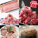 【ふるさと納税】佐賀県産 牛豚鶏肉ステイホームセット（約4人分）：B036-008