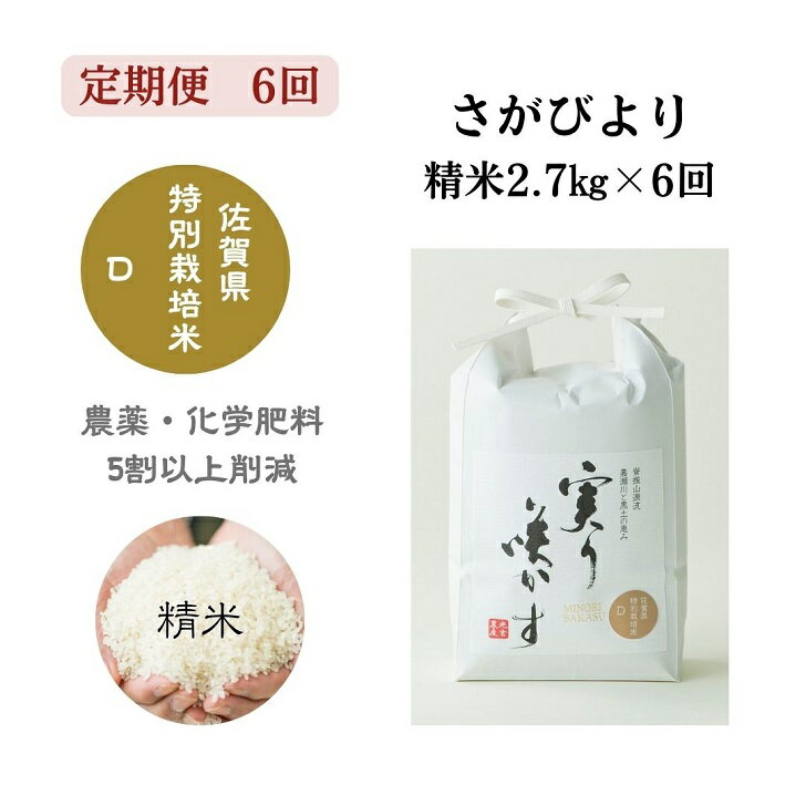 【ふるさと納税】【定期便6回】「実り咲かす」特別栽培さがびより 精米 計16.2kg：B047-014