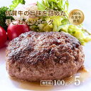 【ふるさと納税】佐賀牛ハンバーグセット:B150-006